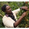 Rwanda Akagera Anaerobic - káva 100% Arabica