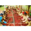 Rwanda Akagera Anaerobic - káva 100% Arabica